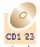 CD1 23